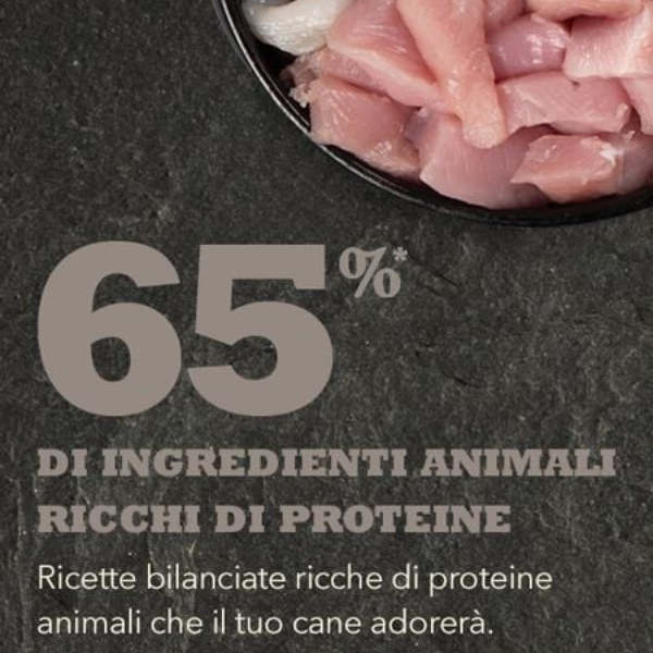 Bauzaar Acana Light and Fit Recipe I Più Venduti