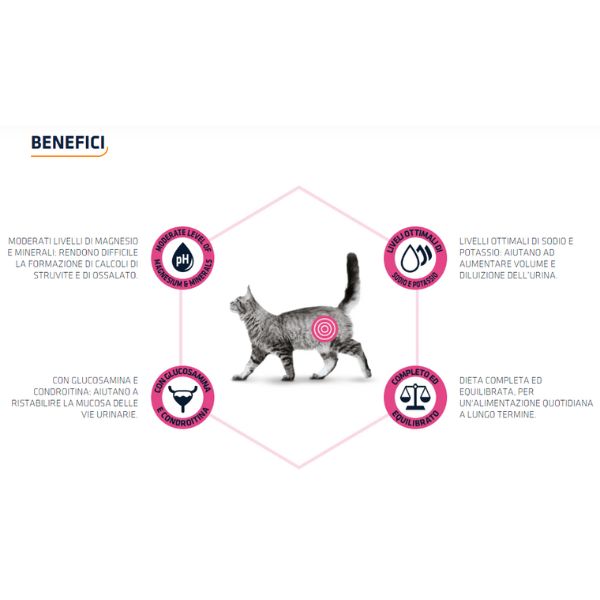 Bauzaar Advance Veterinary Diets Urinary Cat Moda