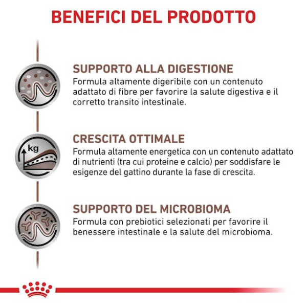 Bauzaar confezione da 6 Offerte giornaliere