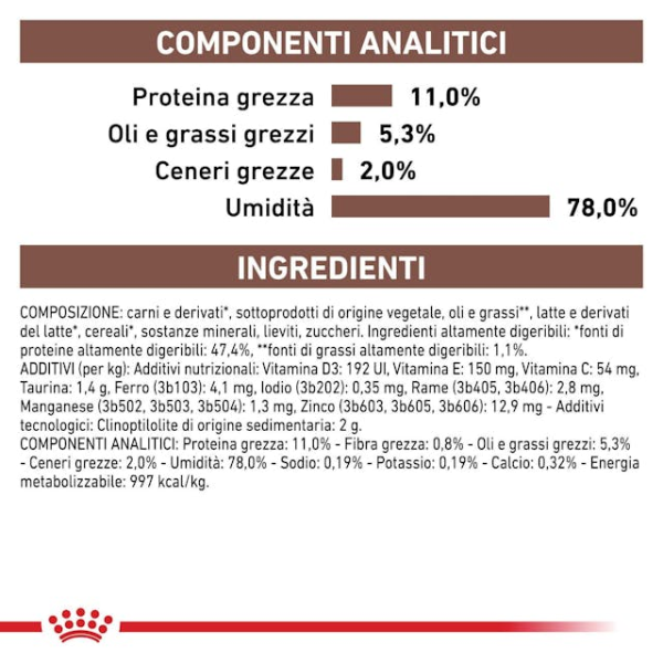 Bauzaar confezione da 6 Offerte giornaliere