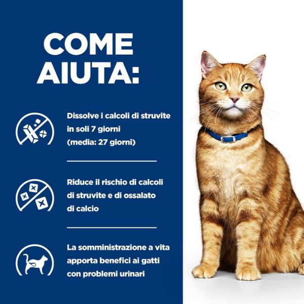 Bauzaar confezione da 12 Sconti VIP