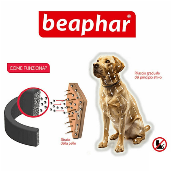 Bauzaar Beaphar Canishield Collare Antiparassitario Ultimo giorno