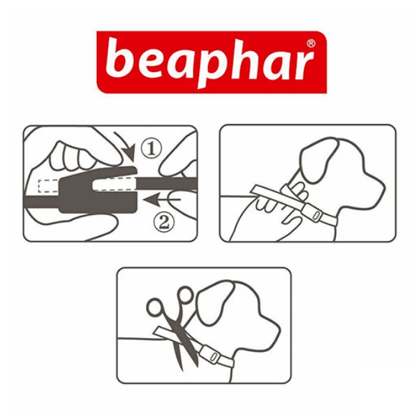 Bauzaar Beaphar Canishield Collare Antiparassitario Ultimo giorno