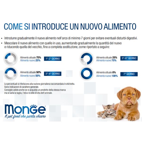 Bauzaar confezione da 32 Promozione temporanea