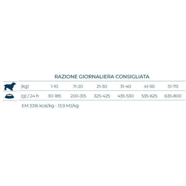 Bauzaar Forza10 Active Cane Intestinal Colon Fase 1 Fino al 65% di sconto