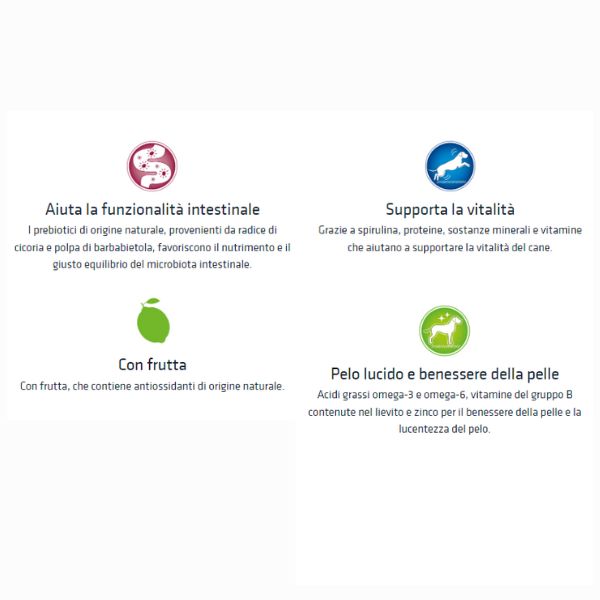 Bauzaar Natural Trainer Adult Medium con Tonno 50% di sconto con spedizione gratuita