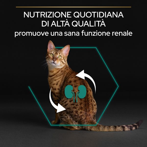 Bauzaar Purina Pro Plan Renal Plus Sterilised Adult 1+ con Coniglio 2025