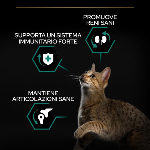 Bauzaar Purina Pro Plan Renal Plus Sterilised Adult 1+ con Coniglio 2025