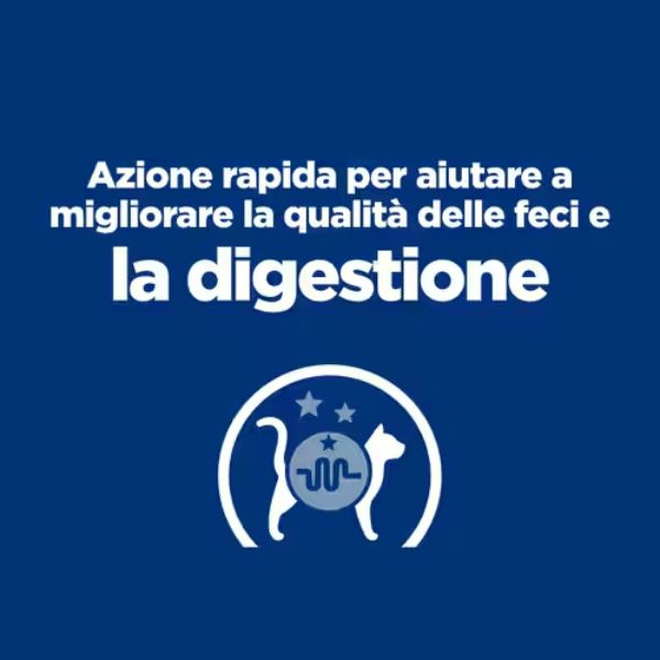 Bauzaar confezione da 12 Vendita