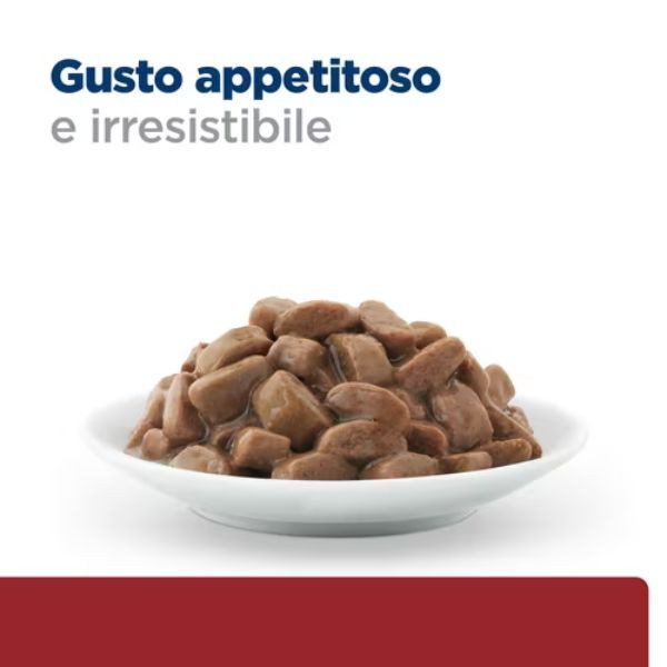 Bauzaar confezione da 12 Vendita
