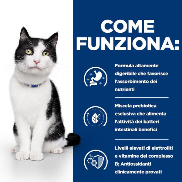 Bauzaar confezione da 12 Vendita