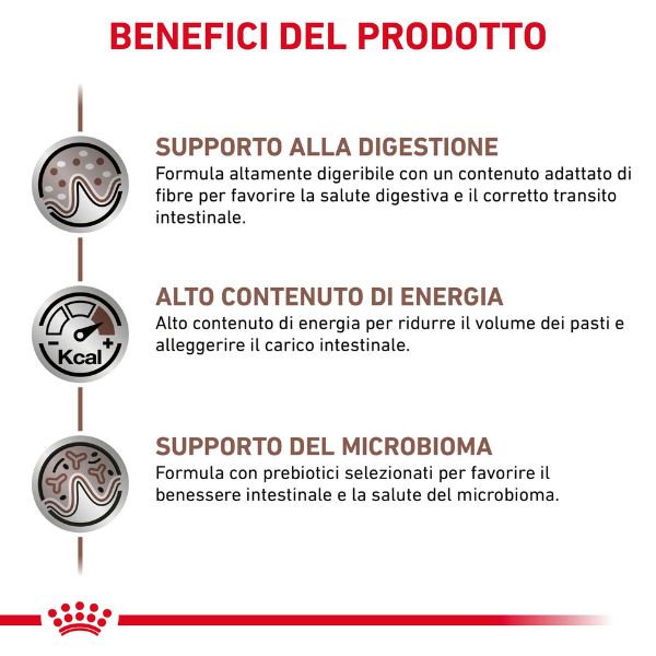 Bauzaar Royal Canin Gastrointestinal Canine Patè Spedizione Gratuita