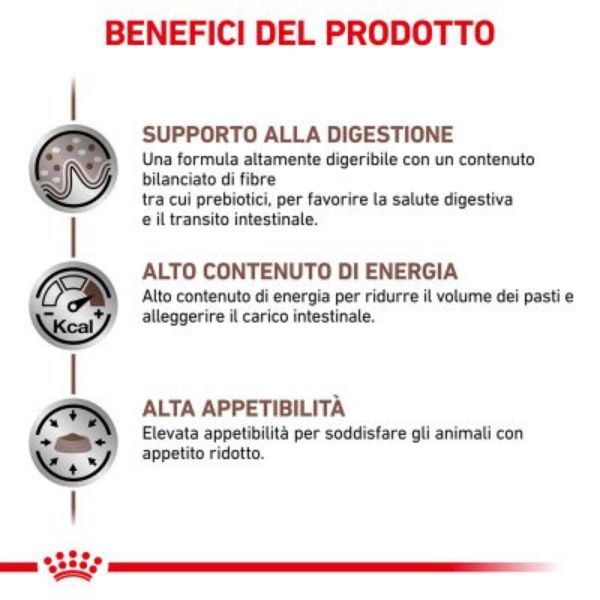 Bauzaar Royal Canin Gastrointestinal Canine Pezzi Unici