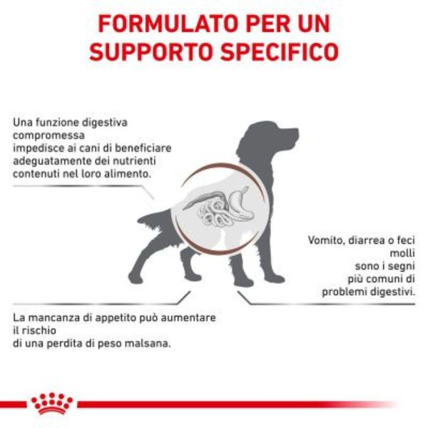 Bauzaar Royal Canin Gastrointestinal Canine Pezzi Unici