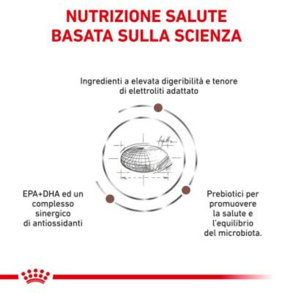 Bauzaar Royal Canin Gastrointestinal Canine Pezzi Unici
