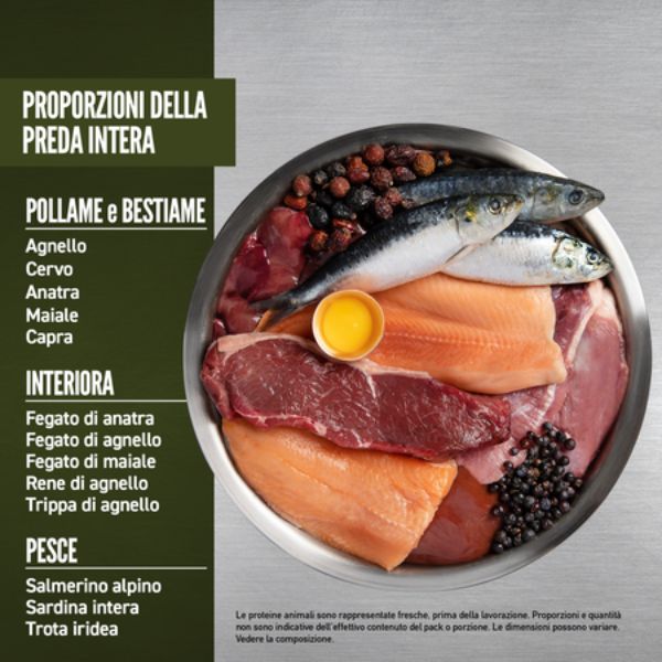 Bauzaar Orijen Tundra Dog Food Promozione Limitata