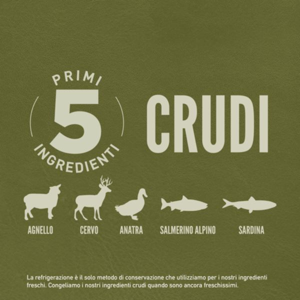 Bauzaar Orijen Tundra Dog Food Promozione Limitata