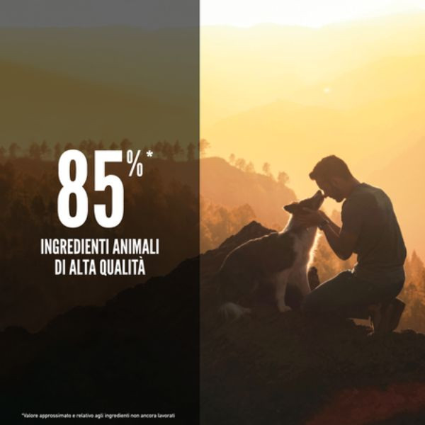 Bauzaar Orijen Tundra Dog Food Promozione Limitata