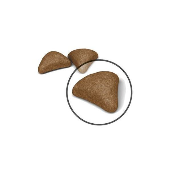 Bauzaar Royal Canin Feline Hairball Care Hotsell
