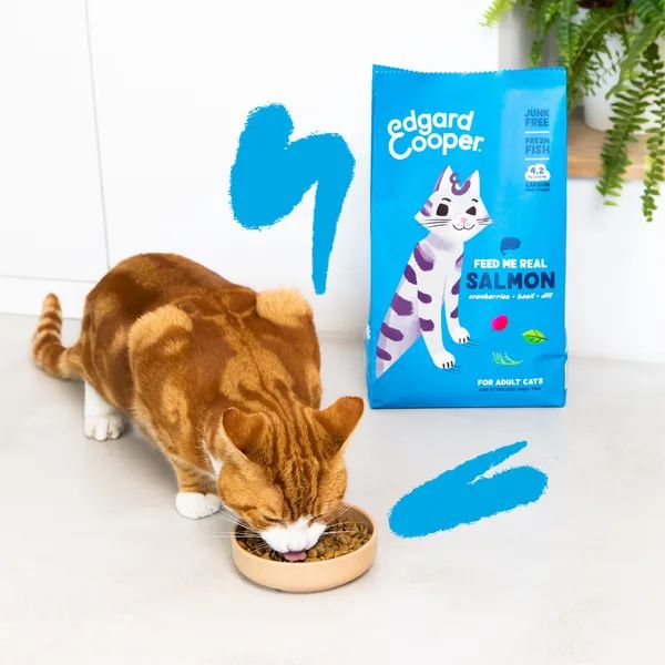 Bauzaar Edgard & Cooper Cat Adult Grain Free Salmone Flash Sale