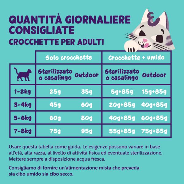Bauzaar Edgard & Cooper Cat Adult Grain Free Salmone Flash Sale