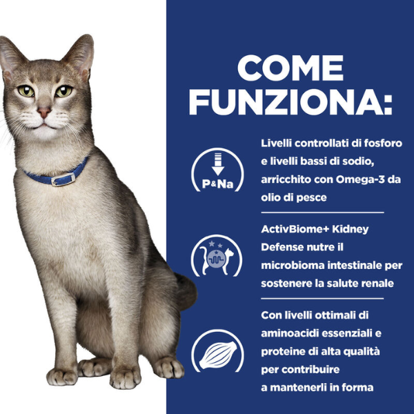 Bauzaar confezione da 6 Offerta natalizia
