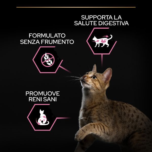 Bauzaar Purina Pro Plan Delicate Digestion Sterilised Adult 1+ con Pollo Offerta San Valentino