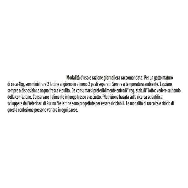 Bauzaar confezione da 24 Offerta migliore