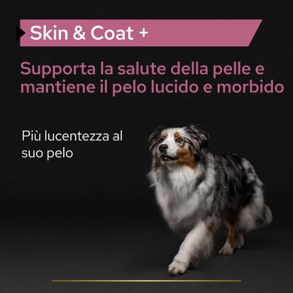 Bauzaar Purina Pro Plan Veterinary Diets Supplement Skin and Coat Plus integratore per cani Offerte esclusive