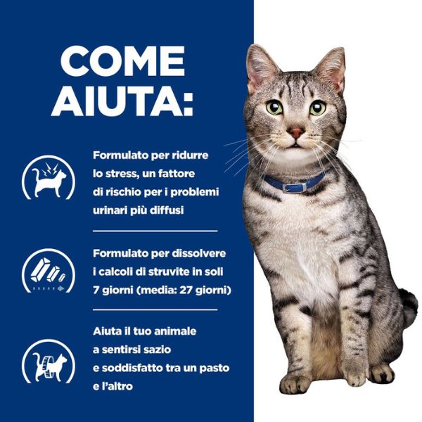Bauzaar confezione da 12 Liquidazione