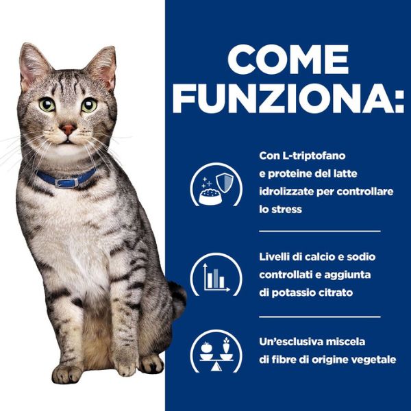 Bauzaar confezione da 12 Liquidazione