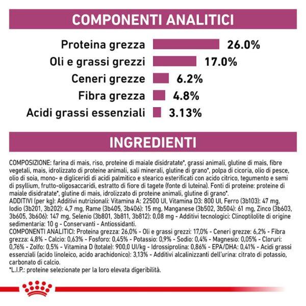Bauzaar Royal Canin Veterinary Renal Special Feline Comprane uno, ottenene uno gratis