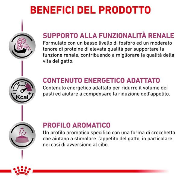 Bauzaar Royal Canin Veterinary Renal Special Feline Comprane uno, ottenene uno gratis