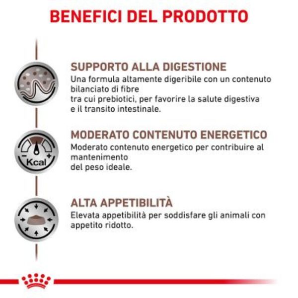 Bauzaar Royal Canin Gastrointestinal Moderate Calorie Feline Offerte giornaliere