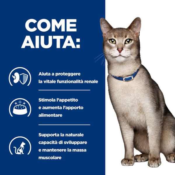 Bauzaar confezione da 12 Offerte speciali