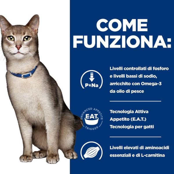 Bauzaar confezione da 12 Offerte speciali