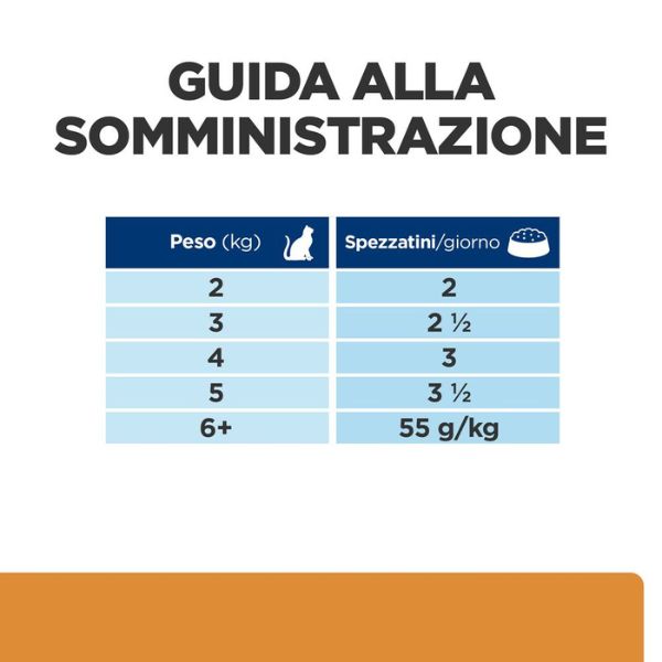 Bauzaar confezione da 12 Offerte speciali