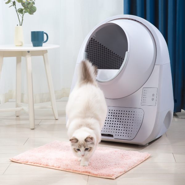 Bauzaar Lettiera autopulente per gatti Scooper Young CatLink (no Wi-fi) Sconti VIP