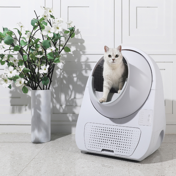 Bauzaar Lettiera autopulente per gatti Scooper Young CatLink (no Wi-fi) Sconti VIP