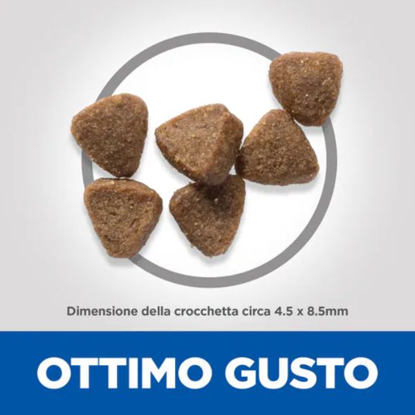 Bauzaar Hill's Science Plan Kitten Alimento per gattini con Pollo Latest stili