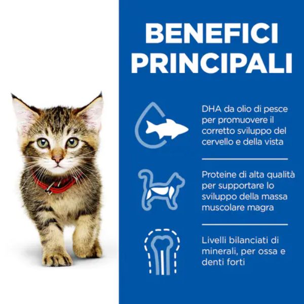 Bauzaar Hill's Science Plan Kitten Alimento per gattini con Pollo Latest stili