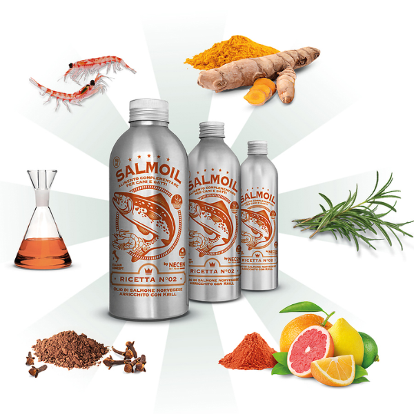 Bauzaar Salmoil olio di salmone per cani e gatti Benessere Intestinale Ultimo giorno