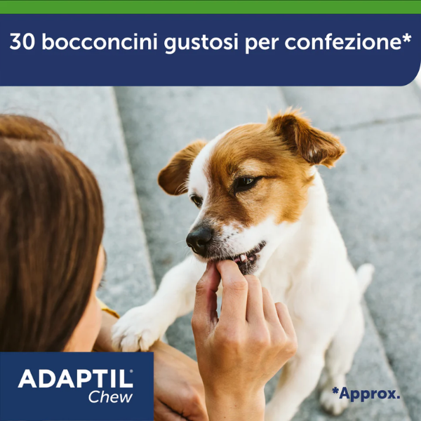 Bauzaar Adaptil Chew snack per cani antiansia Promozione temporanea