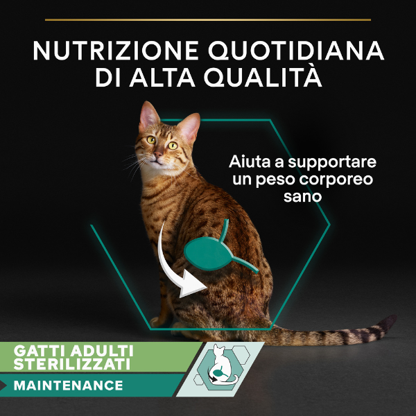 Bauzaar Purina Pro Plan Cat Adult Sterilised Maintenance Terrine Multipack 12x85g Fino al 60% di sconto
