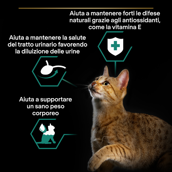 Bauzaar Purina Pro Plan Cat Adult Sterilised Maintenance Terrine Multipack 12x85g Fino al 60% di sconto