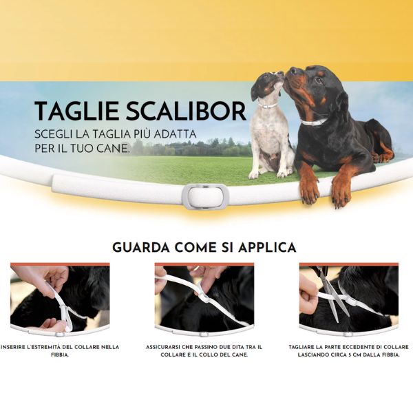 Bauzaar Scalibor Collare Antiparassitario per Cani Fino al 65% di sconto