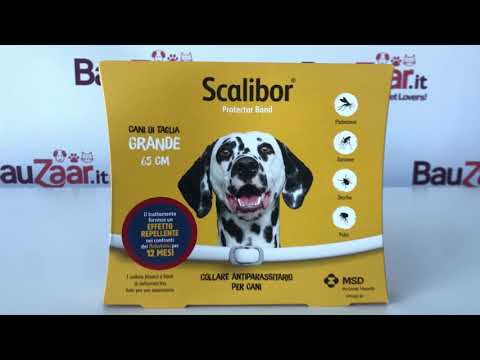 Bauzaar Scalibor Collare Antiparassitario per Cani Fino al 65% di sconto