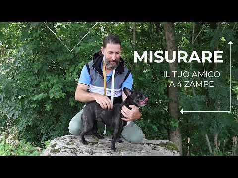Bauzaar Cappotto Impermeabile per cani Montreal Croci Discount Store per i nuovi prodotti