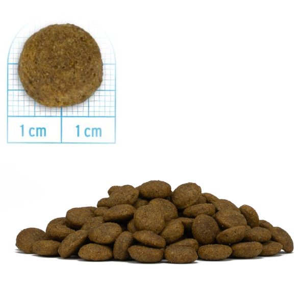 Bauzaar Forza10 MonoDiet Medium Adult Low Grain Hypoallergenic Cervo con patate Solo un giorno rimasto