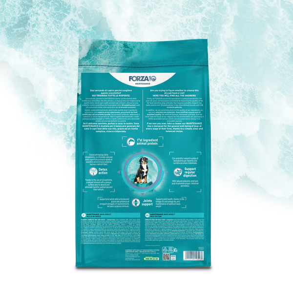 Bauzaar Forza10 Maintenance Maxi Adult al Pesce Italy